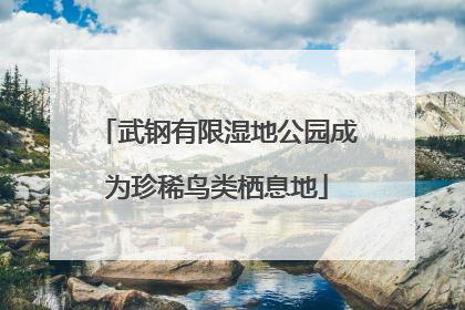 武钢有限湿地公园成为珍稀鸟类栖息地