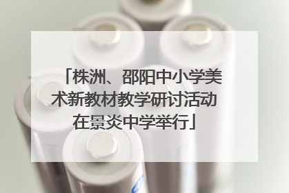 株洲、邵阳中小学美术新教材教学研讨活动在景炎中学举行