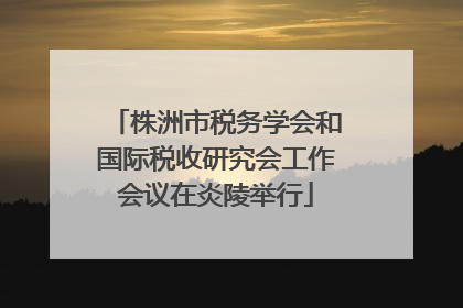 株洲市税务学会和国际税收研究会工作会议在炎陵举行