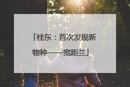 桂东：首次发现新物种——宽距兰