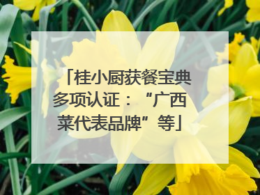 桂小厨获餐宝典多项认证：“广西菜代表品牌”等
