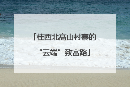桂西北高山村寨的“云端”致富路