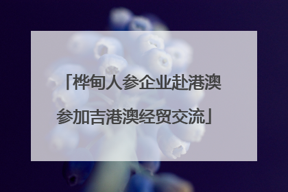 桦甸人参企业赴港澳参加吉港澳经贸交流