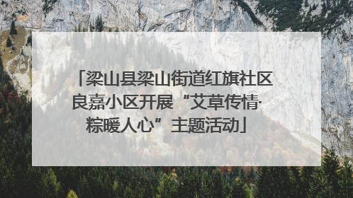 梁山县梁山街道红旗社区良嘉小区开展“艾草传情·粽暖人心”主题活动