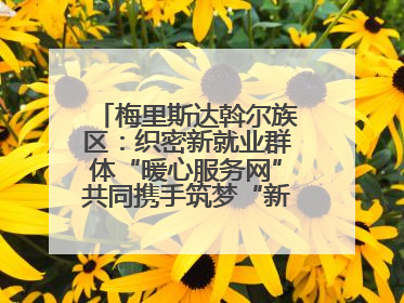 梅里斯达斡尔族区：织密新就业群体“暖心服务网”共同携手筑梦“新力量”
