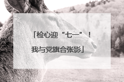 检心迎“七一”！我与党旗合张影