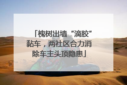 槐树出墙“滴胶”黏车，两社区合力消除车主头顶隐患