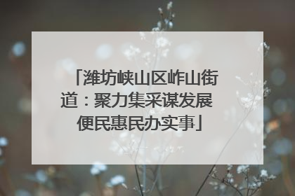 潍坊峡山区岞山街道：聚力集采谋发展 便民惠民办实事