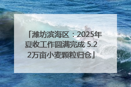 潍坊滨海区：2025年夏收工作圆满完成 5.22万亩小麦颗粒归仓
