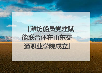 潍坊船员党建赋能联合体在山东交通职业学院成立