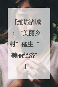 潍坊诸城：“美丽乡村”催生“美丽经济”