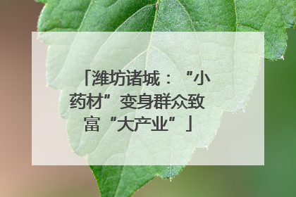 潍坊诸城：“小药材”变身群众致富“大产业”