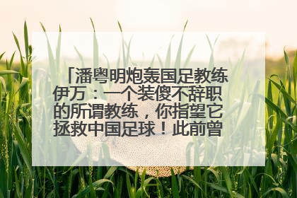 潘粤明炮轰国足教练伊万：一个装傻不辞职的所谓教练，你指望它拯救中国足球！此前曾多次发文评价国足