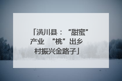 潢川县：“甜蜜”产业  “桃”出乡村振兴金路子