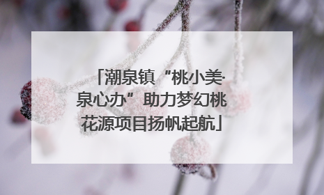 潮泉镇“桃小美·泉心办”助力梦幻桃花源项目扬帆起航