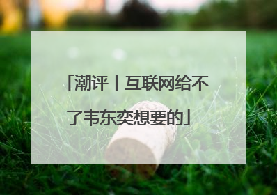 潮评丨互联网给不了韦东奕想要的