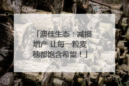 澳佳生态：减损增产 让每一粒麦穗都饱含希望！