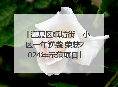 江夏区纸坊街一小区一年逆袭 荣获2024年示范项目