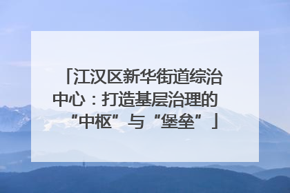 江汉区新华街道综治中心：打造基层治理的“中枢”与“堡垒”
