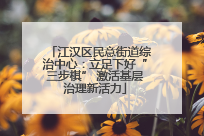 江汉区民意街道综治中心：立足下好“三步棋” 激活基层治理新活力