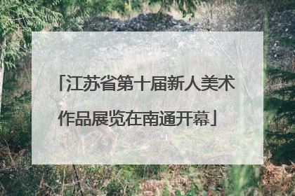 江苏省第十届新人美术作品展览在南通开幕