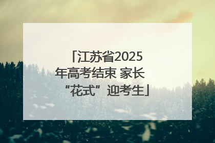 江苏省2025年高考结束 家长“花式”迎考生