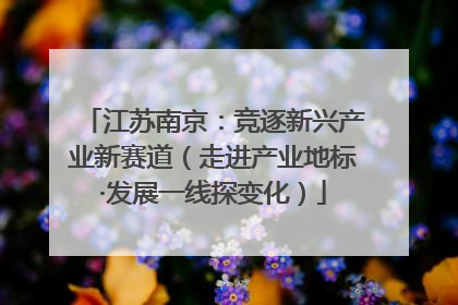 江苏南京：竞逐新兴产业新赛道（走进产业地标·发展一线探变化）