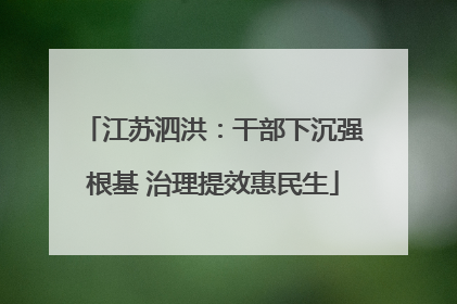 江苏泗洪：干部下沉强根基 治理提效惠民生