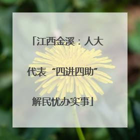 江西金溪：人大代表“四进四助”解民忧办实事