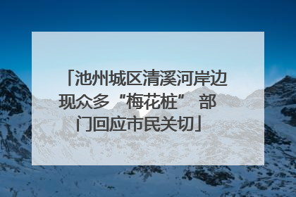 池州城区清溪河岸边现众多“梅花桩” 部门回应市民关切