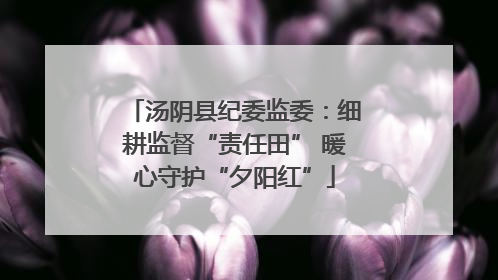 汤阴县纪委监委：细耕监督“责任田” 暖心守护“夕阳红”