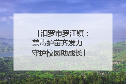 汨罗市罗江镇：禁毒护苗齐发力 守护校园助成长
