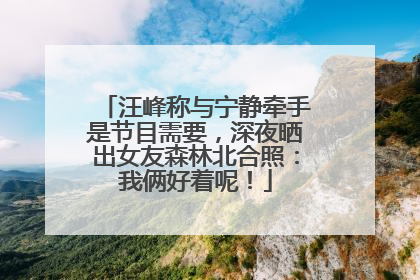 汪峰称与宁静牵手是节目需要，深夜晒出女友森林北合照：我俩好着呢！