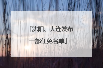 沈阳、大连发布干部任免名单