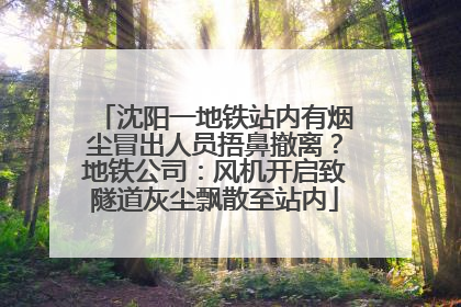 沈阳一地铁站内有烟尘冒出人员捂鼻撤离？地铁公司：风机开启致隧道灰尘飘散至站内