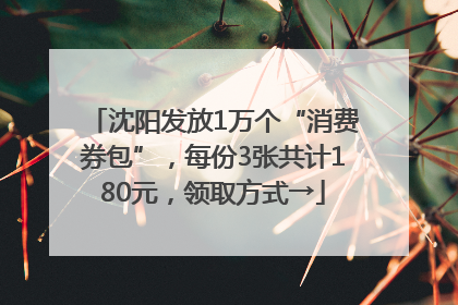 沈阳发放1万个“消费券包”，每份3张共计180元，领取方式→