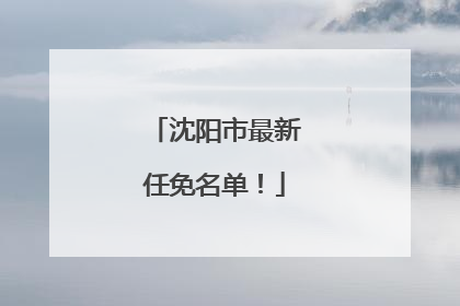 沈阳市最新任免名单！