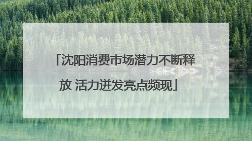 沈阳消费市场潜力不断释放 活力迸发亮点频现