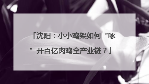沈阳：小小鸡架如何“啄”开百亿肉鸡全产业链？