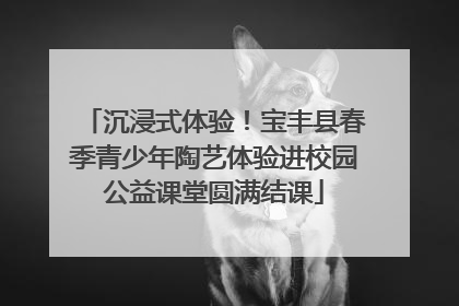 沉浸式体验！宝丰县春季青少年陶艺体验进校园公益课堂圆满结课