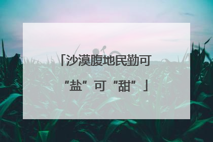 沙漠腹地民勤可“盐”可“甜”