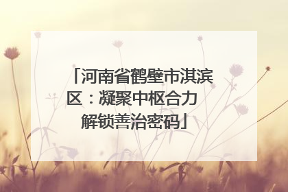 河南省鹤壁市淇滨区：凝聚中枢合力 解锁善治密码