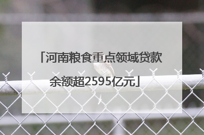 河南粮食重点领域贷款余额超2595亿元