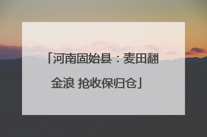 河南固始县：麦田翻金浪 抢收保归仓