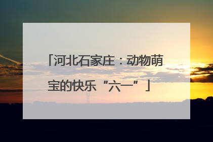 河北石家庄：动物萌宝的快乐“六一”