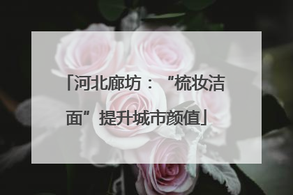 河北廊坊：“梳妆洁面”提升城市颜值