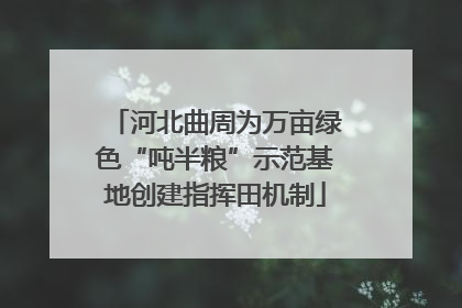 河北曲周为万亩绿色“吨半粮”示范基地创建指挥田机制