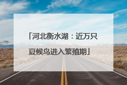 河北衡水湖：近万只夏候鸟进入繁殖期