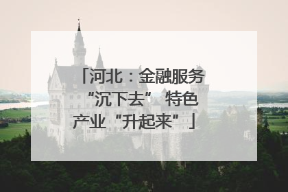 河北：金融服务“沉下去” 特色产业“升起来”