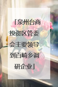 泉州台商投资区管委会主要领导到百崎乡调研企业